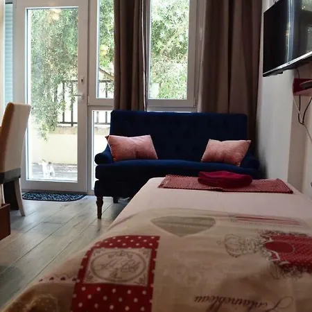 Studio Apartments Apartment Split